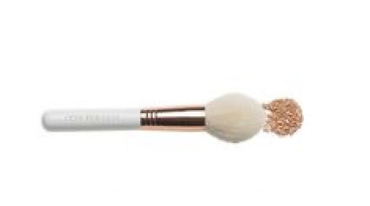 Powder brush